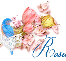 signatureanimee,oiseau bleu
