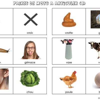 Paires de mots à articuler