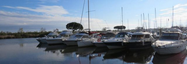 le port du Teich (33)