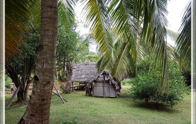 Promenade dans la forêt de Nosy Sakatia : Habitation typique avec cuisine séparée afin d'éviter un incendie destructeur - Madagascar