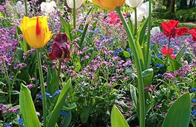 Le printemps