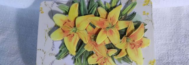 Memory card jonquilles .