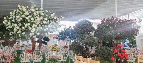 mái xếp, mái hiên bạt kéo Hòa Phát Đạt