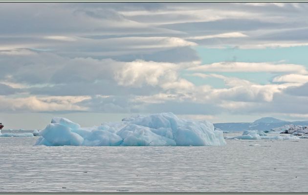La progression le long du Glacier Negribreen se poursuit avec observation de Mouettes tridactyles, Black-legged Kittiwake (Rissa tridactyla)- Spitzberg - Svalbard - Norvège