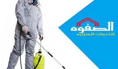 	شركة مكافحة الصراصير بالرياض