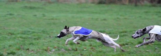 Deux Evailles, PVL spéciale, 28 novembre 2009