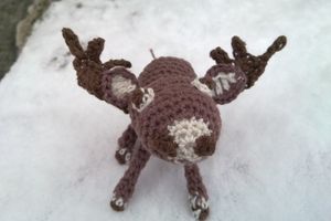 Dernier petit renne avant la nouvelle année...