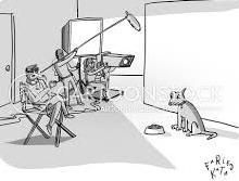 L'intelligence des chiens