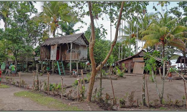 Retour au village de Dei-Dei - Fergusson Island - Papouasie Nouvelle-Guinée (Papua New-Guinea)