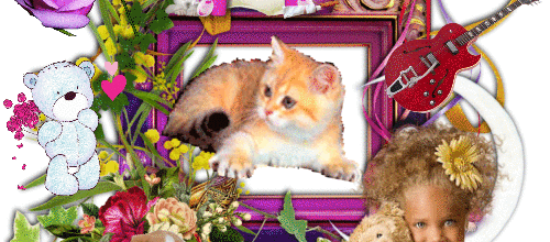ANIMAUX FLEURS GUITARE