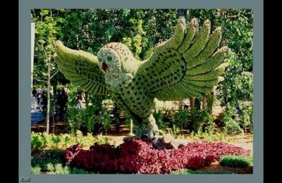 Trop forts ces jardiniers !!