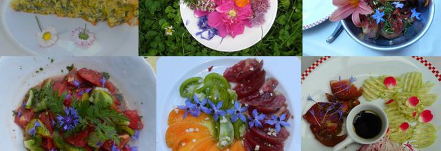 Des fleurs dans nos assiettes