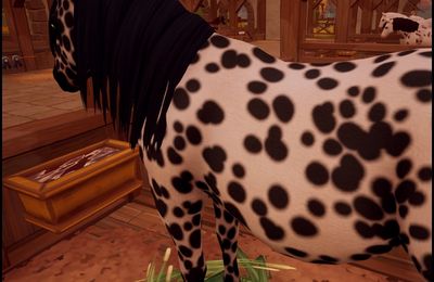 Quand entraînement rime avec détente