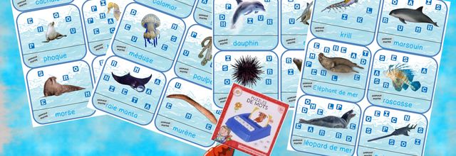 Vocabulaire animaux marins.