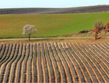 l'Hiver en Haute Provence #4