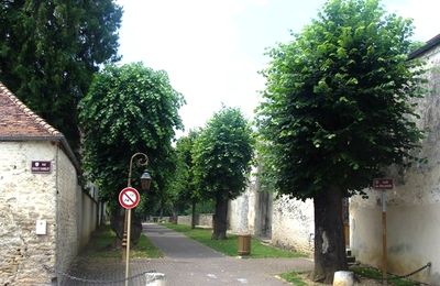 Les rues de Châtillon sur Seine : l'Allée des Boulangers....