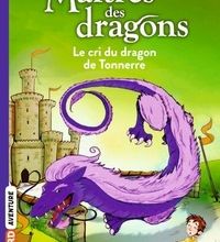 Download PDF Maîtres des dragons Tome 8