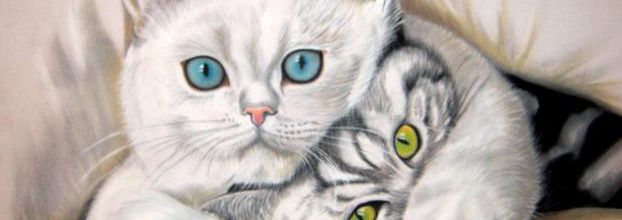 Les chats espiègles
