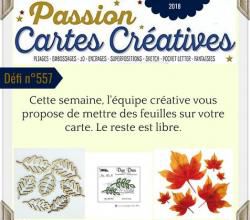 Passion Cartes Créatives#557 !