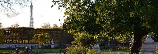 Un automne au Jardin des Tuileries