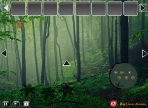 Big Soothing mist forest escape soluce