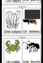 Vivant ou non vivant