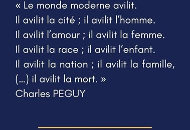 Bonjour à Vous ... 