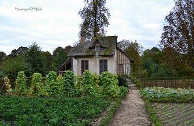 Versailles : Le Domaine de Marie-Antoinette : Le Boudoir