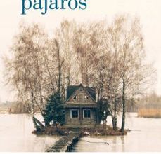 Descargas gratuitas en formato ebook pdf Y LLOVIERON PÁJAROS de JOCELYNE SAUCIER