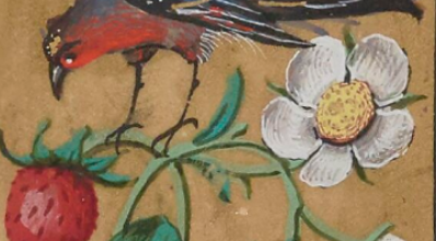Des fraises et des framboises en enluminures 