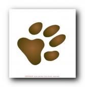 ATC Monochrome 2024 * 3/12