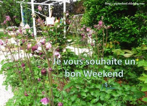 Semaine 18 / 2018