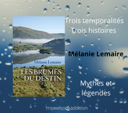 Chronique sur "Les Brumes du Destin" - Ynowebookaddition