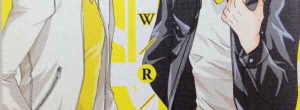 Yellow R bientôt en France ?