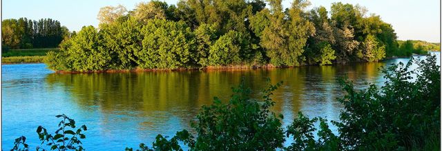 Voyage dans le Loiret / Mai 2025