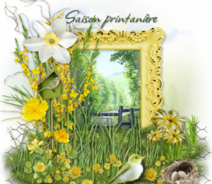 Printemps vert et fleuri à l'entrée des marais salants