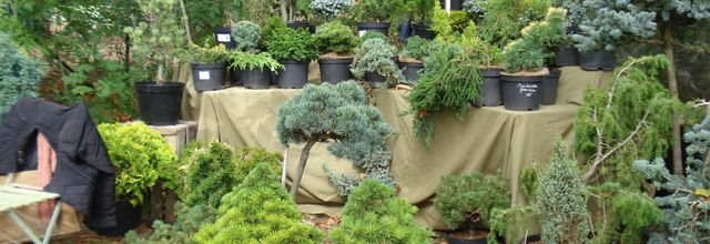 Les botaniques de Chaumont sur Loire