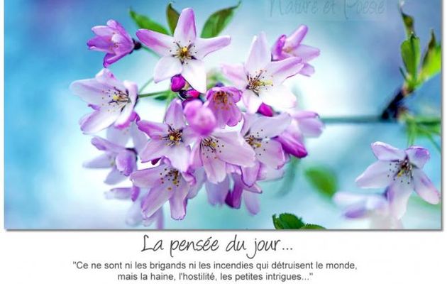 Le monde.....