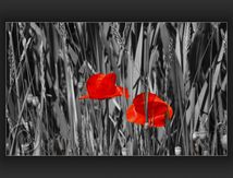 En rouge et gris...