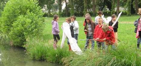 Attention les libellules nous arrivons ! Pas de gestes brusques !