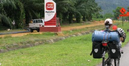 Malaisie Episode 5 : Dans les palmiers à huile de Monsieur Sime Darby