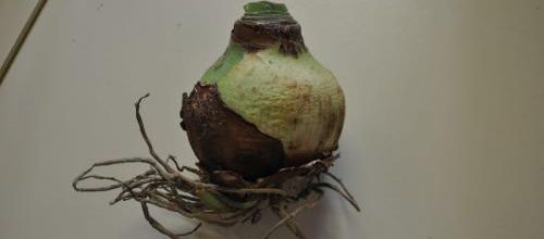 Il faut savoir...attendre