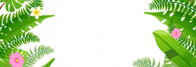 ѼVegetation