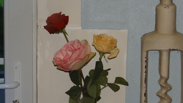 Quelques Fleurs pour cette Fin de Semaine