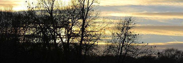 Coucher de soleil