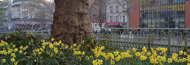 Le printemps du Canal Saint-Martin