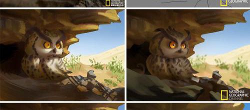 JN Crazy, des illustrations nature