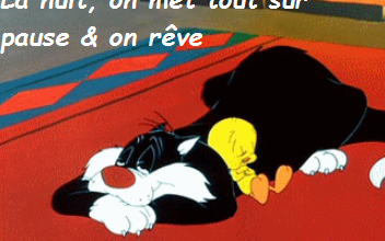 Bonne soirée
