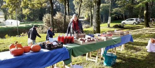 Vide jardin 2024 , de la chapelle Saint Maur