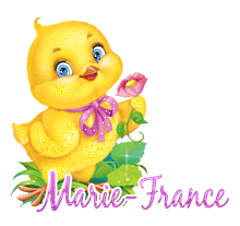  749 - Mon p'tit poussin -  signature, blinkie